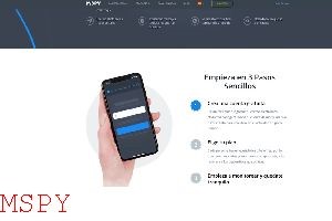 How Can You Defeat Mspy