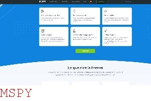 Is Mspy Stealth