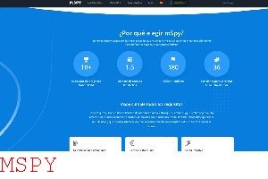 What Files or Binaries Does Mspy Use
