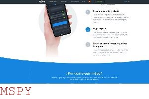 How to Use Mspy