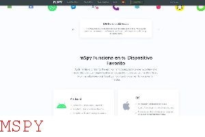 How Many Devices Are Supported With Mspy Subscription?