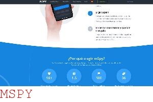 How to Use Mspy Key
