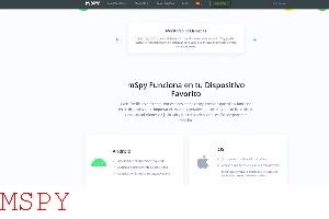 Mspy Does It Work