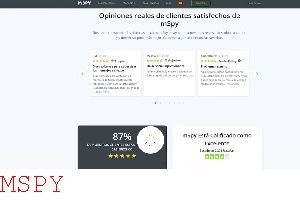 Which Is Better Mspy vs Flexispy