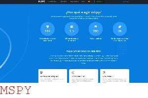 What Is a Deterant to the Mspy App
