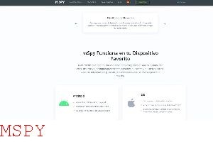 How to Load Mspy on Iphone