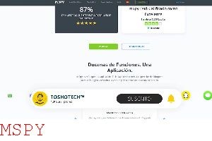 Why Isn't Mspy Working