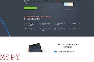 How to Make Mspy Visible Again