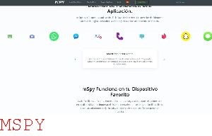 What Can Mspy See