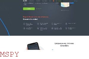 What Can Mspy Do