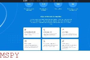 How to Crack Mspy