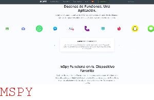 What Is Mspy Lite