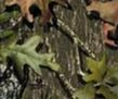Mossy Oak New Break-Up
