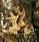 Realtree Xtra