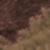 Fawn/Expresso Brown