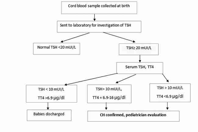 Hypothyroidism Subclinical
