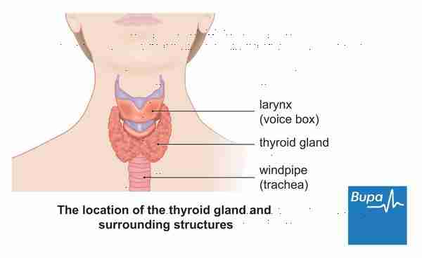 Hypothyroidism Go Away