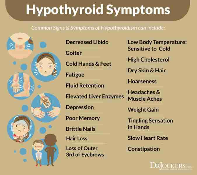 Hypothyroidism Rheumatologist