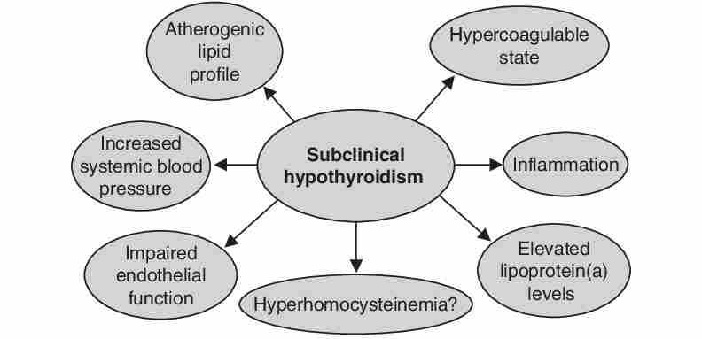 Hypothyroidism Cvd