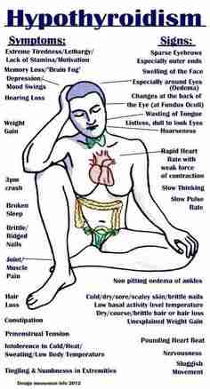 Hypothyroidism Vomiting Diarrhea