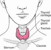 Hypothyroidism In Pregnancy Icd 10