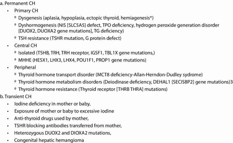 Hypothyroidism Histology