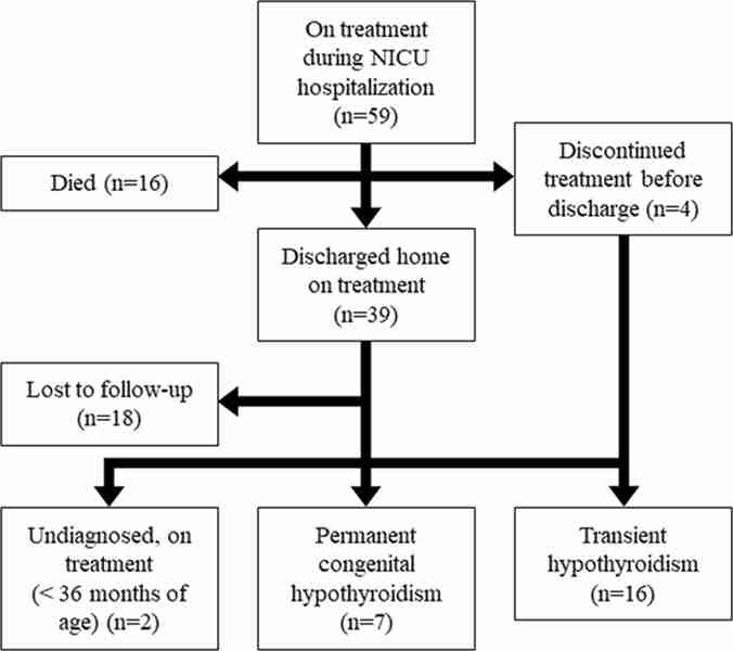 Hypothyroidism Pharmacology