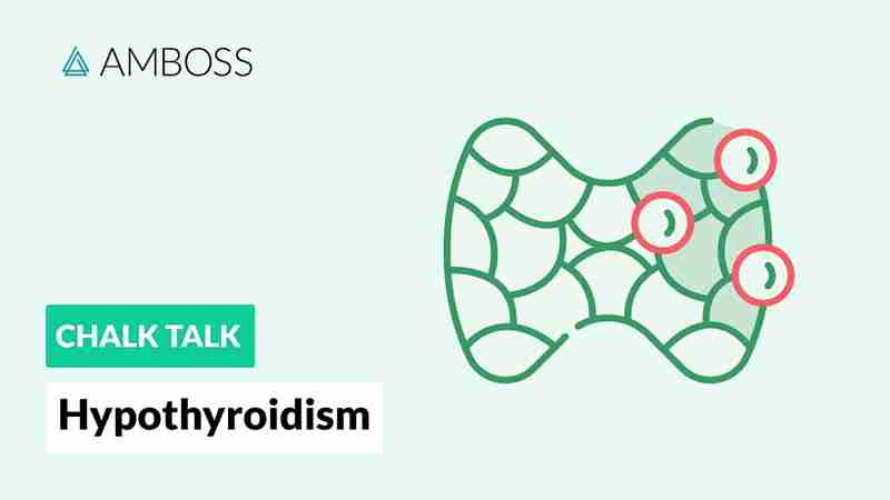 Hypothyroidism Hund