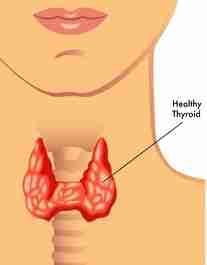 How Can I Lose Weight With Hypothyroidism