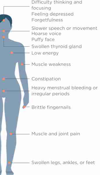 Can A Person Go From Hypothyroidism To Hyperthyroidism