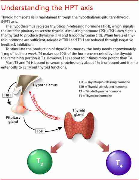 Hypothyroidism Qof