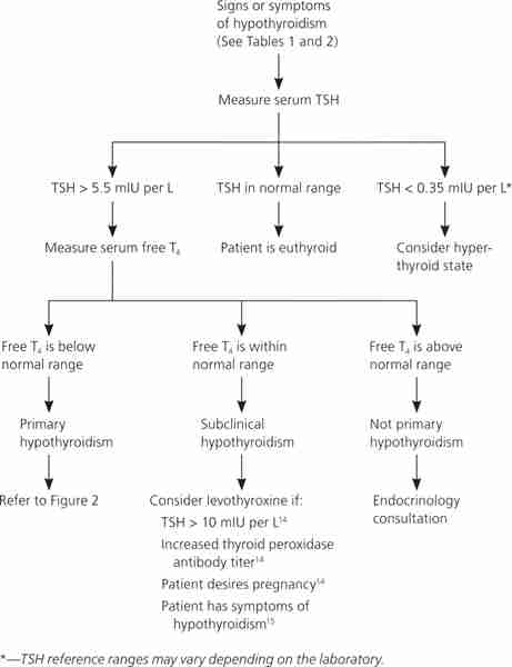 Hypothyroidism And Low Vit D