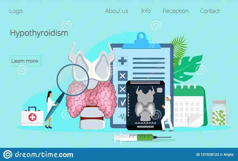 Questions To Ask Endocrinologist About Hypothyroidism