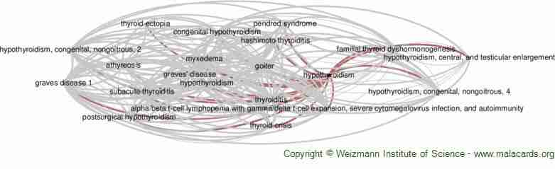 Hypothyroidism Cell Communication