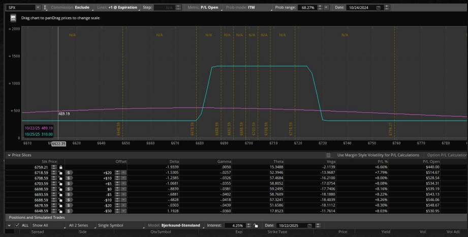 Condor Nest final position showing risk-free iron condor