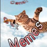 Imagem do canal de telegram CAT memes