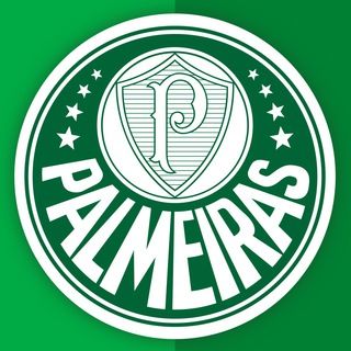 Imagem do grupo de telegram PALMEIRAS