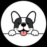 Imagem do canal de telegram 🐶PETS ENGRAÇADOS 🐾