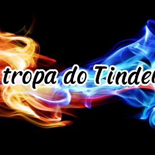 Imagem do grupo de telegram 🆃🆁🅾🅿🅰 🅳🅾 🆃🅸🅽🅳🅴🆁