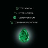 Imagem do grupo de telegram TOEM TOKEN EMERALD GLOBAL🌍