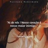 Imagem do grupo de telegram Cristãos Protestantes