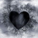 Imagem do canal de telegram 🖤𝘐𝘯𝘵𝘦𝘳𝘪𝘰𝘳🖤𝘰𝘣𝘴𝘤𝘶𝘳𝘰🖤