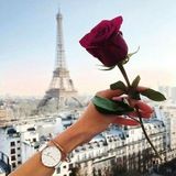 Imagem do canal de telegram Cactozinho