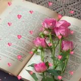 Imagem do canal de telegram 🌹✨ Flores com Frases ✨🌹