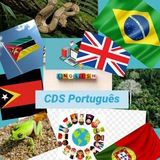 Imagem do canal de telegram CDS Português