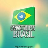 Imagem do grupo de telegram O Brasil online digital 🇧🇷
