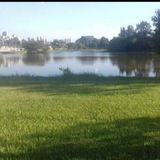Imagem do grupo de telegram 👫CARAPICUIBA PARQUE DOS PARTURIES 👫 CHOAB 5 E REGIÃO