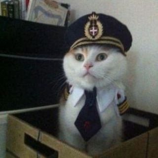 Imagem do canal de telegram ⚔Universo Imaterial⚔