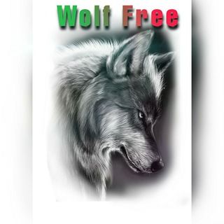 Imagem do grupo de telegram Wolf_Sala_Free.Sem Gale🇧🇷