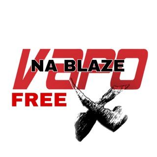 Imagem do grupo de telegram SINAIS VP NA BLAZE Free 🇸🇻